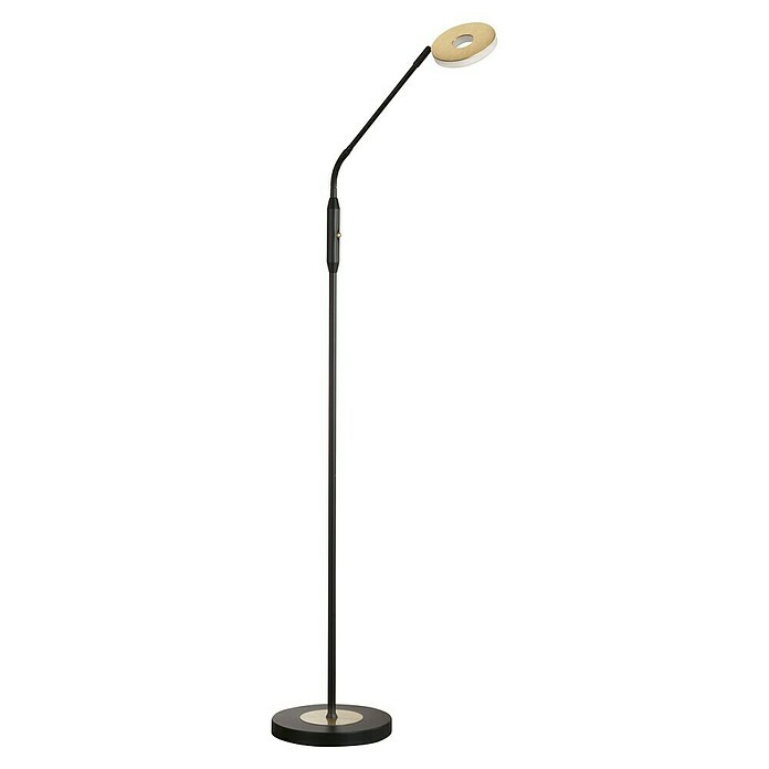 Fischer & Honsel Dent LED-Stehleuchte (7,5 W, Höhe: 150 cm, Gold/Sandschwarz, Mehrfarbig, 1 Stk.) | BAUHAUS