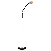 Fischer & Honsel Dent LED-Stehleuchte (7,5 W, Höhe: 150 cm, Gold/Sandschwarz, Mehrfarbig, 1 Stk.) | BAUHAUS