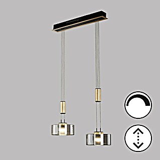 Fischer & Honsel LED-Pendelleuchte Lavin (18 W, Gold/Schwarz, Warmweiß, 2 Stk.)