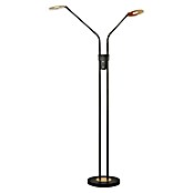 Fischer & Honsel Dent LED-Stehleuchte (15 W, Höhe: 150 cm, Gold/Sandschwarz, Mehrfarbig, 2 Stk.) | BAUHAUS