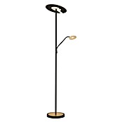 Fischer & Honsel Dent LED-Stehleuchte (37 W, Höhe: 180 cm, Gold/Sandschwarz, Mehrfarbig, 2 Stk.) | BAUHAUS