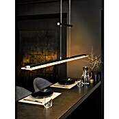 Fischer & Honsel LED-Pendelleuchte Tenso TW (28 W, Schwarz, Mehrfarbig) | BAUHAUS