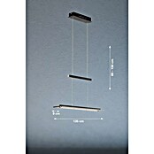 Fischer & Honsel LED-Pendelleuchte Tenso TW (28 W, Schwarz, Mehrfarbig) | BAUHAUS