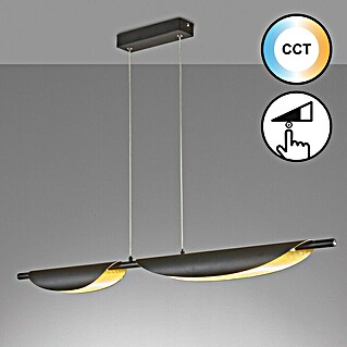 Fischer & Honsel LED-Pendelleuchte Skal (12 W, L x B x H: 108 x 8 x 160 cm, Gold/Sandschwarz, Mehrfarbig)