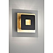 Fischer & Honsel LED-Wandleuchte Hennes (7 W, L x B x H: 18 x 18 x 7,3 cm, Gold/Schwarz, Warmweiß, Eckig) | BAUHAUS