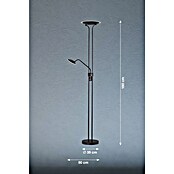 Fischer & Honsel Tallri LED-Deckenfluter (42,5 W, Höhe: 180 cm, Sandschwarz, Mehrfarbig) | BAUHAUS