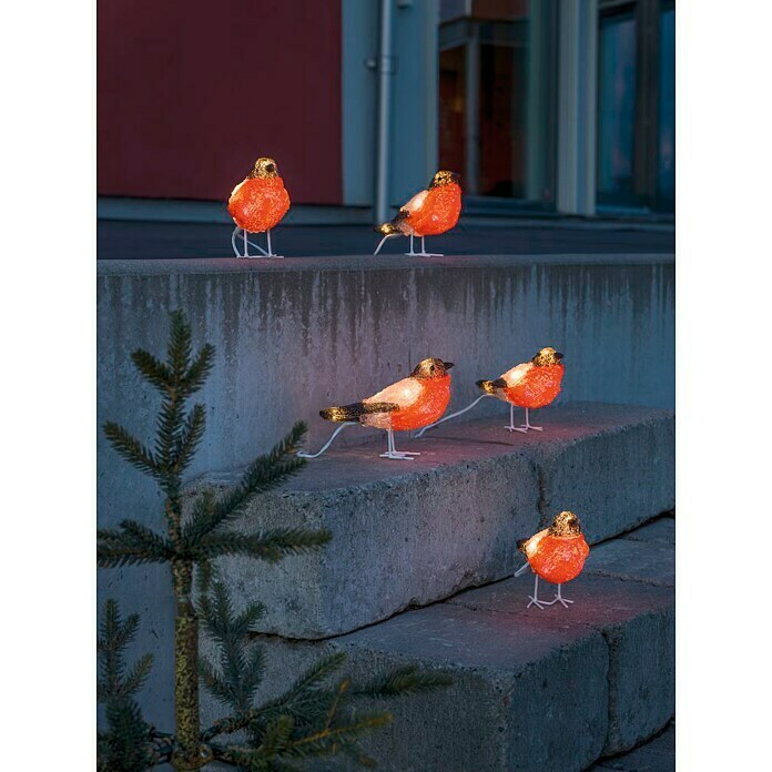 Konstsmide LED-Lichterkette Rotkehlchen (Außen, 40-flammig, Kabellänge: 4 m, Kaltweiß)