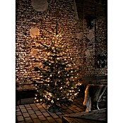 Konstsmide LED-Lichterkette Baummantel mit Ring (Außen, 400-flammig, Länge: 14 m, Schwarz)