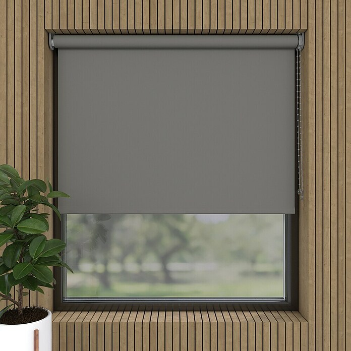 Verdunkelungsrollo Mini Colormatch (B x H: 70 x 150 cm, Grau) | BAUHAUS