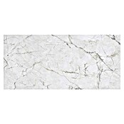Tau ceramica Keramische tegel - Invisible Gold (280 cm x 120 mm, Grijs / Goud, Mat) | BAUHAUS