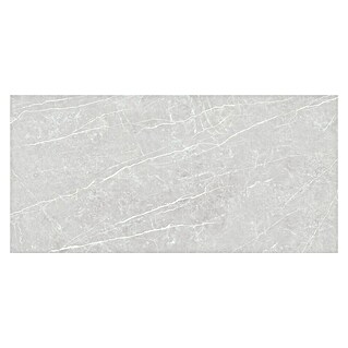 Tau ceramica Keramische tegel - Elite Silver (280 x 120 cm, Grijs, Mat)