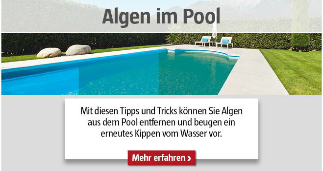 Algen im Pool