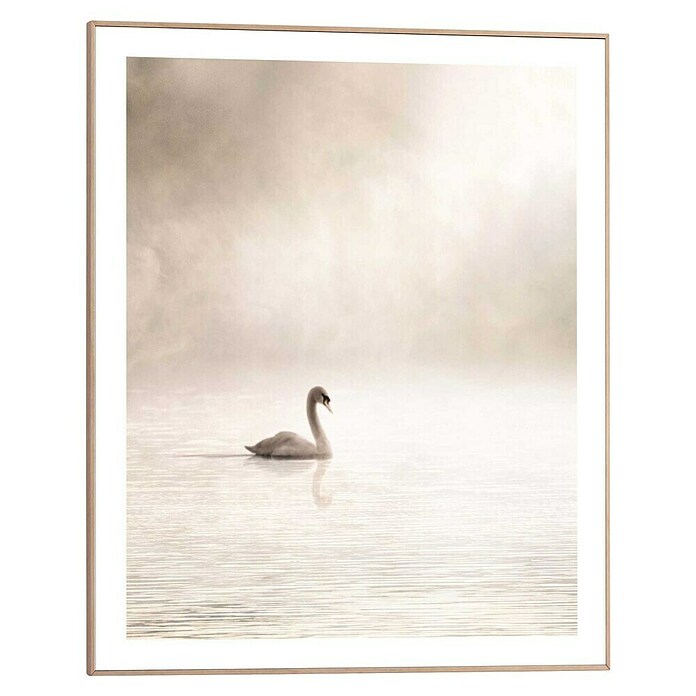 Reinders Bild Slim Frame Wood (Misty Lake Swan, B x H: 40 x 50 cm) | BAUHAUS