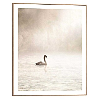 Reinders Bild Slim Frame Wood (Misty Lake Swan, B x H: 40 x 50 cm)