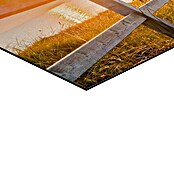 Reinders Decopanel (Beach Boardwalk, B x H: 90 x 30 cm) | BAUHAUS