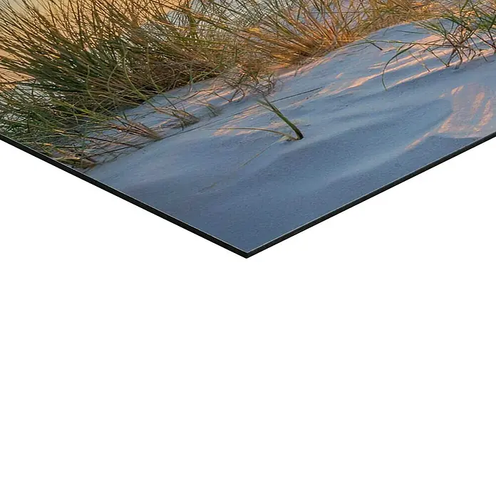 Reinders Decopanel - Golden Hour, B x H: 90 x 30 cm - Nahaufnahme einer Alu-Dibond-Platte mit einem Landschaftsmotiv, ideal für moderne Wanddekoration.