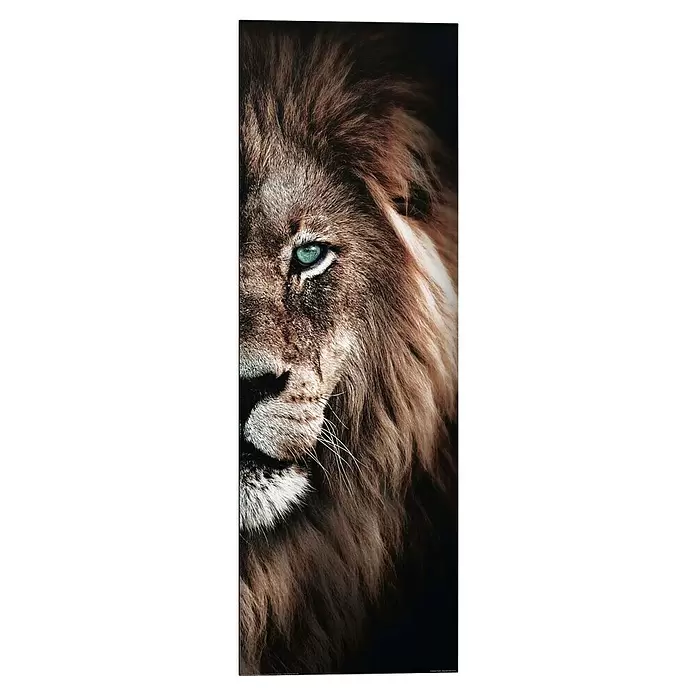 Reinders Decopanel - Half Lion, B x H: 30 x 90 cm - Nahaufnahme eines Löwengesichts mit markantem blauem Auge und kräftiger Mähne.