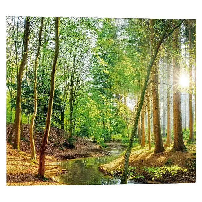 Reinders Decopanel - Spring Woods, B x H: 50 x 40 cm - Eine friedliche Waldszene mit einem gewundenen Bach, gebadet in hellem Sonnenlicht, das durch frische grüne Blätter scheint.