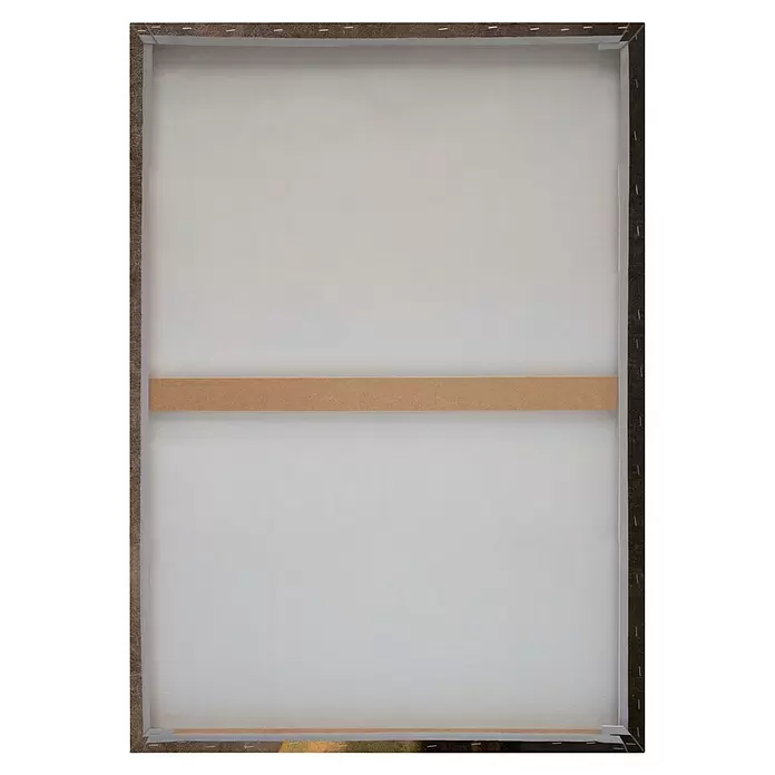 Reinders Leinwandbild Giclee on Canvas - Vermeer - Pearl Girl Flower, B x H: 50 x 70 cm - Rückseite einer weißen Leinwand mit sichtbarem Holzkeilrahmen und horizontaler Strebe.