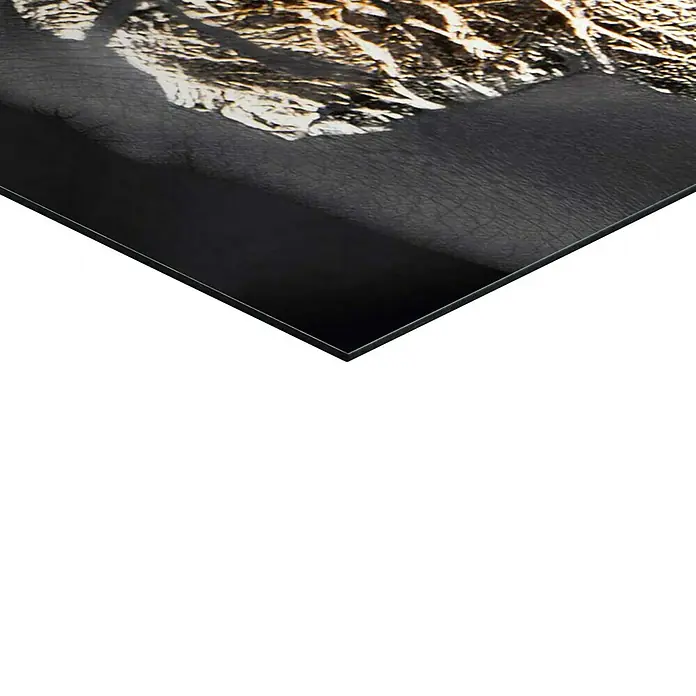 Reinders Decopanel - Woman Gold Hand, B x H: 60 x 90 cm - Nahaufnahme einer edlen, glänzenden Alu-Dibond-Platte, die ein Kunstwerk mit Goldakzenten präsentiert. Perfekt für moderne Wanddekoration.