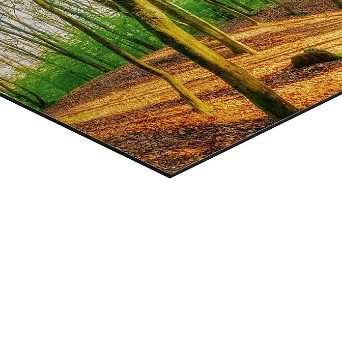 Reinders Decopanel - Spring Woods, B x H: 90 x 30 cm - Ein atemberaubendes Wandbild eines sonnendurchfluteten Waldes im Herbst, das die Schönheit der Natur in Ihr Zuhause bringt.