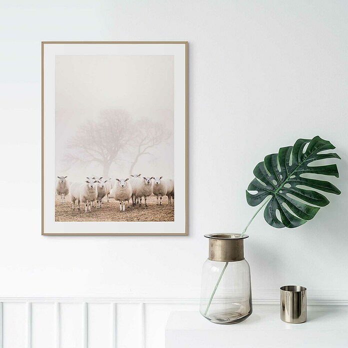 Reinders Bild Slim Frame Wood (Sheep in Field, B x H: 30 x 40 cm) | BAUHAUS