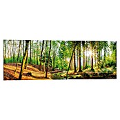 Reinders Decopanel (Spring Woods, B x H: 90 x 30 cm) | BAUHAUS