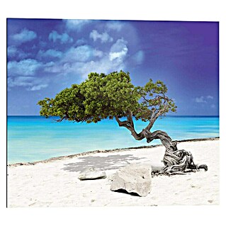 Reinders Decopanel (Tropical Tree, B x H: 50 x 40 cm)