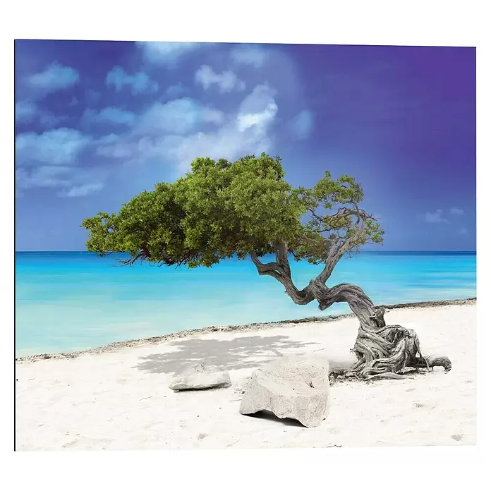 Reinders Decopanel - Tropical Tree, B x H: 50 x 40 cm - Ein verdrehter Baum mit grünen Blättern neigt sich über einen weißen Sandstrand mit klarem blauem Meer und Himmel.