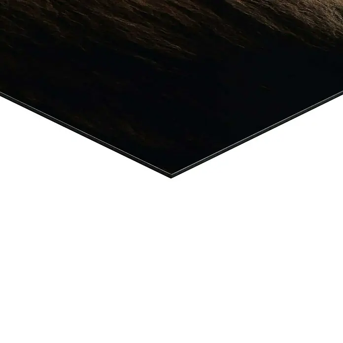Reinders Decopanel - Roaring Lion, B x H: 50 x 40 cm - Detailaufnahme einer dunklen, glänzenden Oberfläche, möglicherweise eine Platte oder ein Tisch. Das Material wirkt edel und modern.