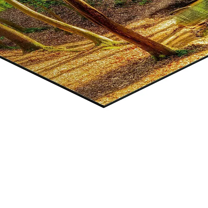 Reinders Decopanel - Spring Woods, B x H: 50 x 40 cm - Waldszene auf Leinwand mit warmen Farben und Baumstämmen, die einen natürlichen Look erzeugen. Perfekt für jedes Zuhause.