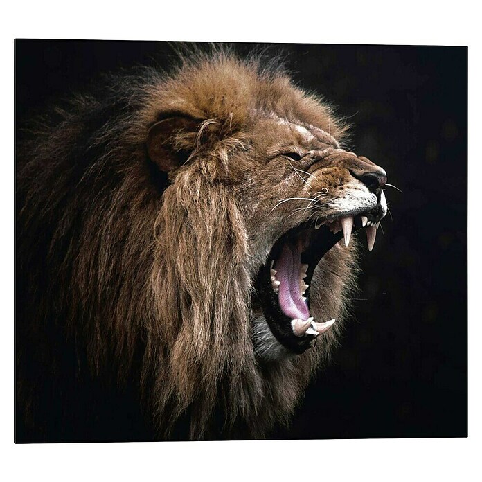 Reinders Decopanel (Roaring Lion, B x H: 50 x 40 cm) | BAUHAUS