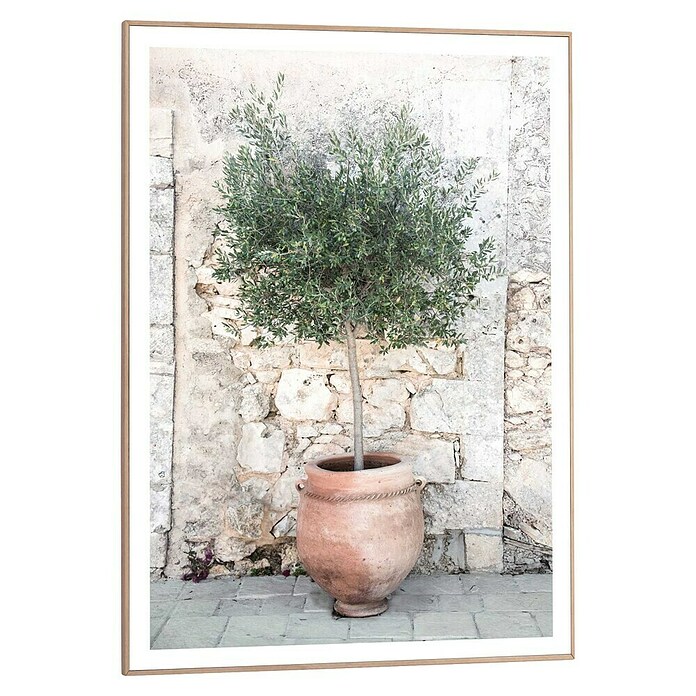 Reinders Bild Slim Frame Wood (Olive Tree, B x H: 50 x 70 cm) | BAUHAUS