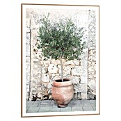 Reinders Bild Slim Frame Wood (Olive Tree, B x H: 50 x 70 cm) | BAUHAUS