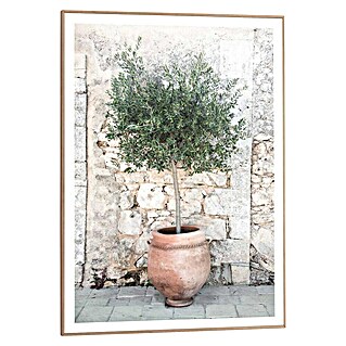 Reinders Bild Slim Frame Wood (Olive Tree, B x H: 50 x 70 cm)