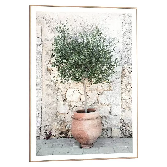 Reinders Bild Slim Frame Wood - Olive Tree, B x H: 50 x 70 cm - Ein Olivenbaum mit grünen Blättern in einem großen, runden Terrakottatopf vor einer hellen Steinmauer im Freien.