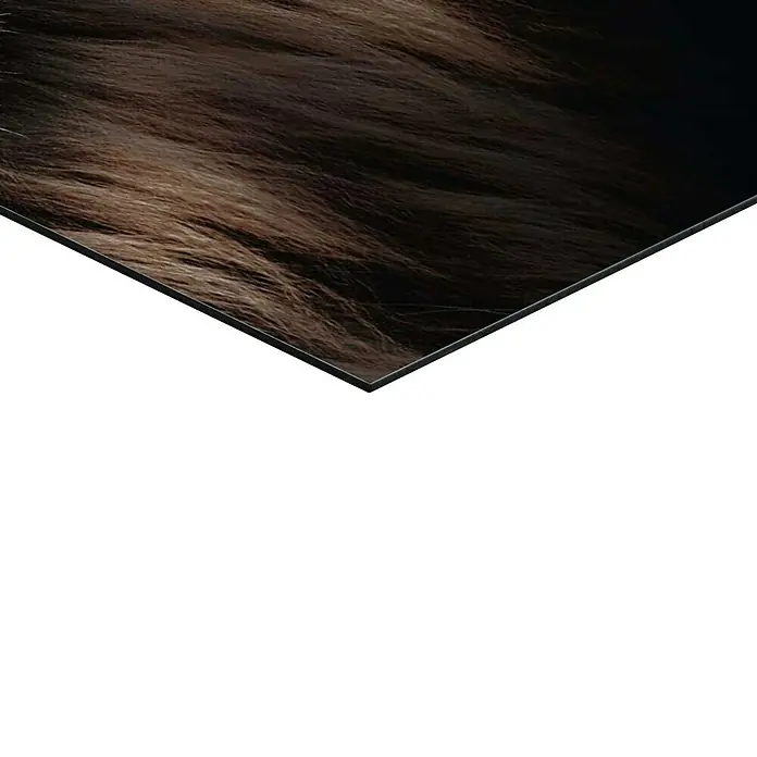 Reinders Decopanel - Half Lion, B x H: 30 x 90 cm - Nahaufnahme einer detailreichen Haarstruktur auf einem hochwertigen Druck. Perfekt für stilvolle Wanddekoration.