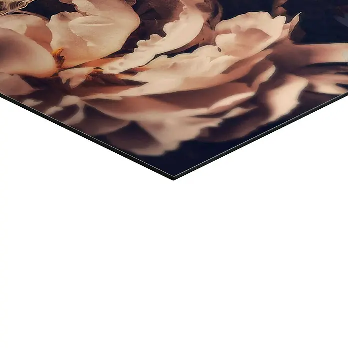 Reinders DecopanelJungle Lion, B x H: 60 x 90 cm - Nahaufnahme eines Kunstdrucks mit zarten, beigen Blütenblättern und einem dunklen Hintergrund.