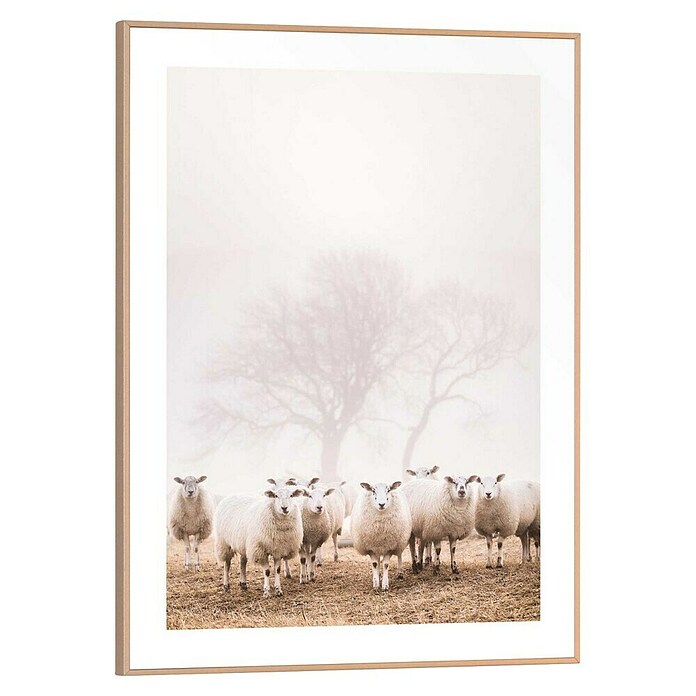 Reinders Bild Slim Frame Wood (Sheep in Field, B x H: 30 x 40 cm) | BAUHAUS