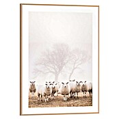 Reinders Bild Slim Frame Wood (Sheep in Field, B x H: 30 x 40 cm) | BAUHAUS