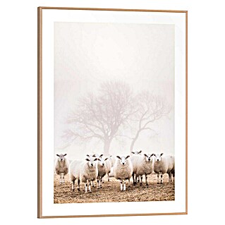 Reinders Bild Slim Frame Wood (Sheep in Field, B x H: 30 x 40 cm)