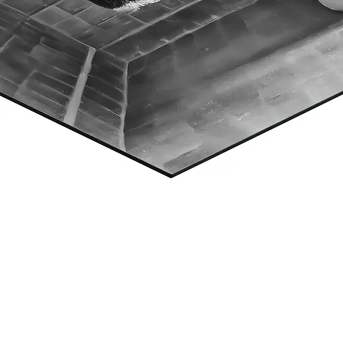 Reinders Decopanel - Highlander Toilet, B x H: 60 x 90 cm - Nahaufnahme eines modernen Dekors, das durch klare Linien und eine reflektierende Oberfläche besticht, ideal für stilbewusste Räume.