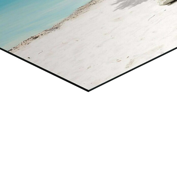 Reinders Decopanel (Tropical Tree, B x H: 50 x 40 cm) | BAUHAUS