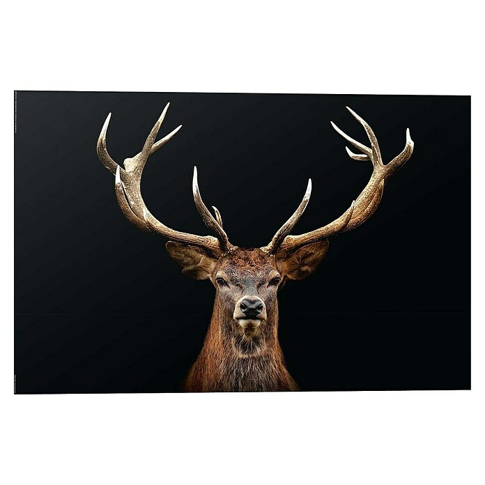 Reinders Decopanel (Deer Portrait, B x H: 90 x 60 cm) | BAUHAUS