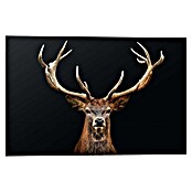 Reinders Decopanel (Deer Portrait, B x H: 90 x 60 cm) | BAUHAUS