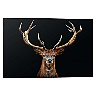 Reinders Decopanel (Deer Portrait, B x H: 90 x 60 cm)