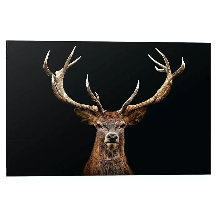Reinders Decopanel - Deer Portrait, B x H: 90 x 60 cm - Kopf eines majestätischen Rothirschs mit großem, verzweigtem Geweih.