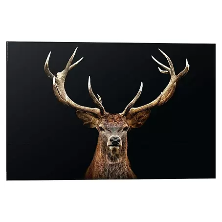 Reinders  Decopanel