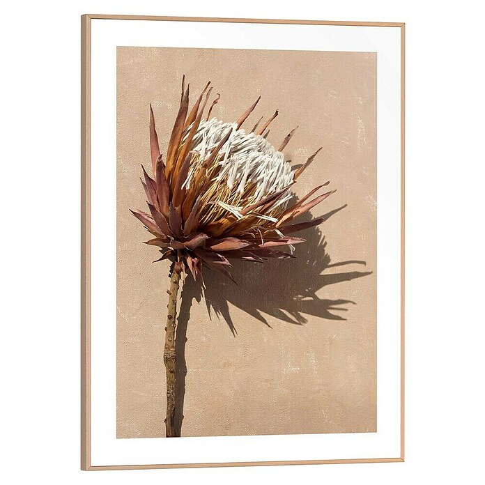 Reinders Bild Slim Frame Wood (Shadow Still, B x H: 30 x 40 cm) | BAUHAUS