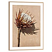 Reinders Bild Slim Frame Wood (Shadow Still, B x H: 30 x 40 cm) | BAUHAUS